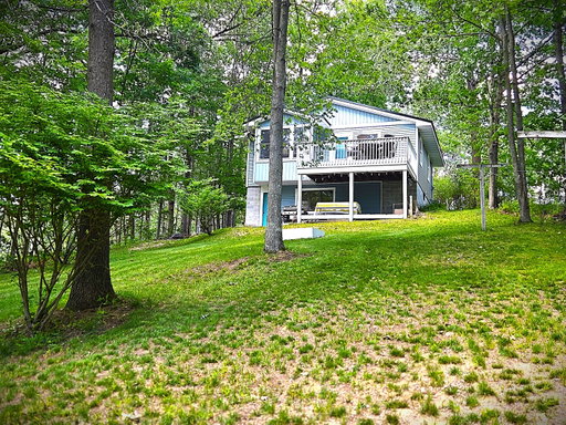 Media Image 2