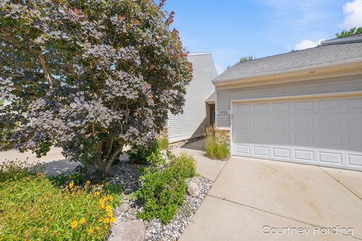 Media Image 3