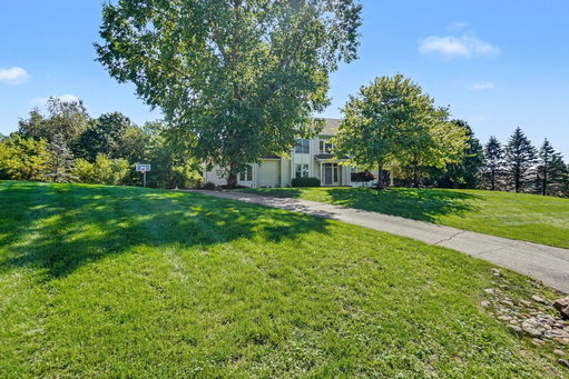 Media Image 3