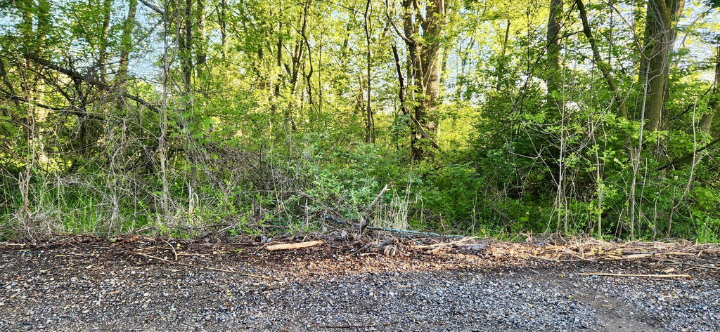 Image Unavailable