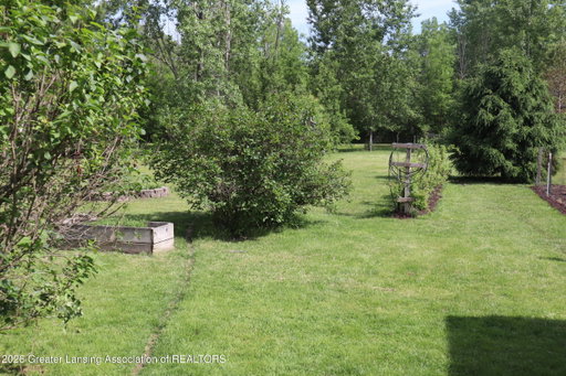 Media Image 3