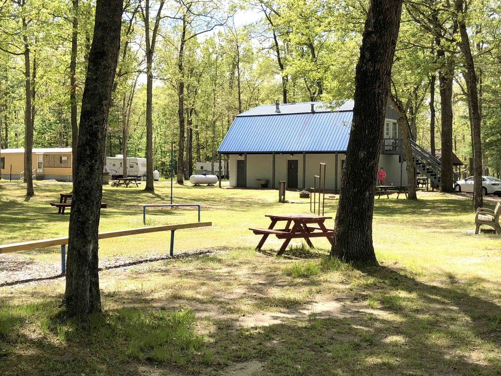 9581 N Brooks Rd, Irons, MI 49644