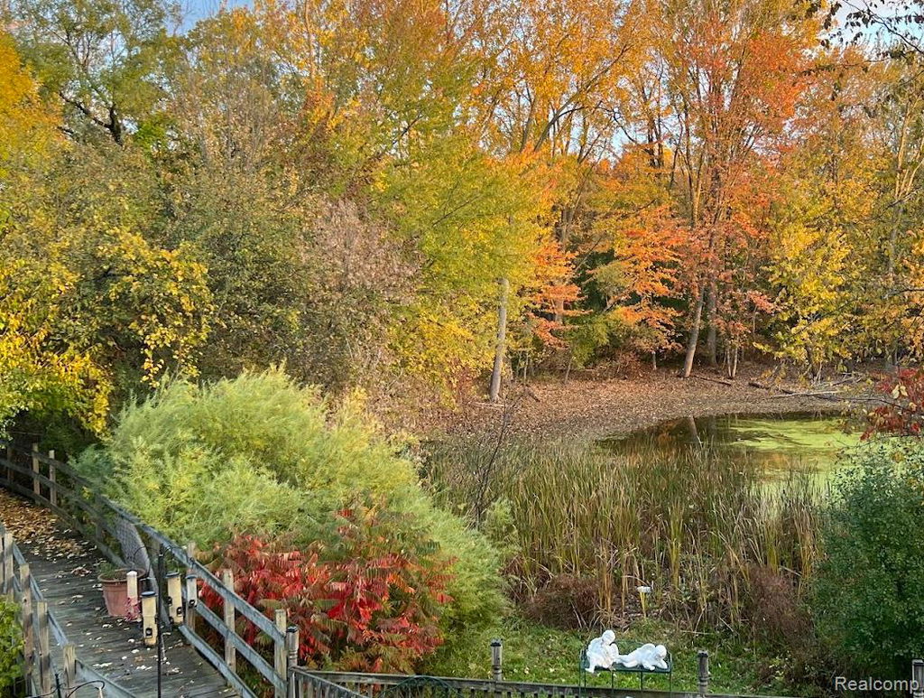 Media Image 1