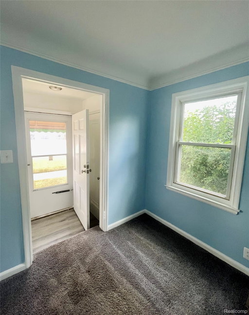 Media Image 3