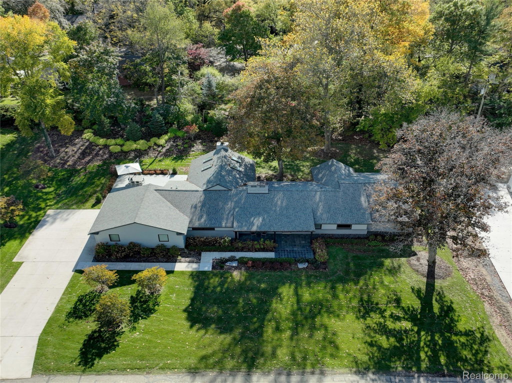 Media Image 1