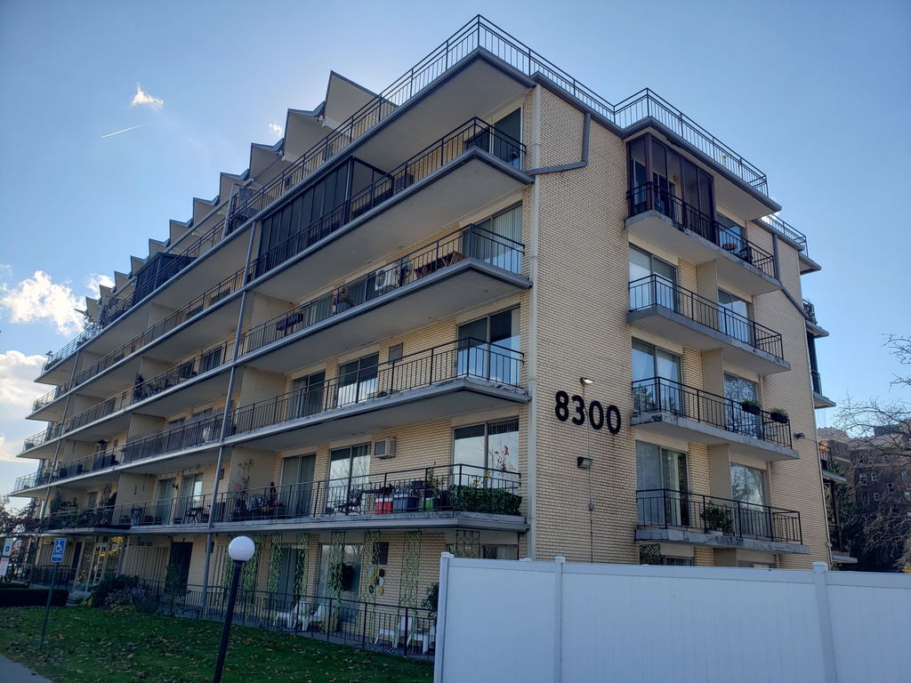 Media Image 1