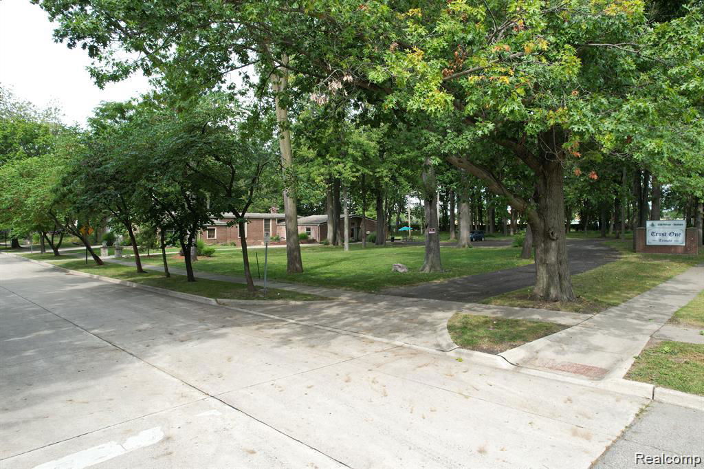 Media Image 1