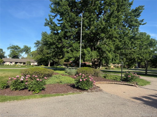 Media Image 2