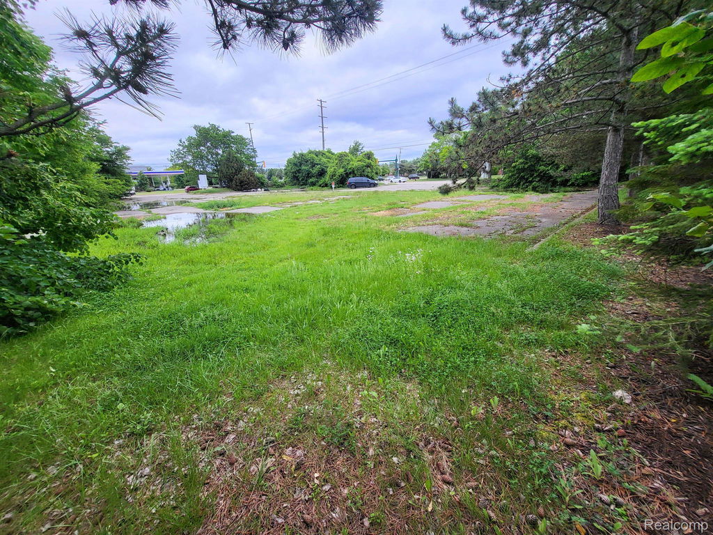 Media Image 1