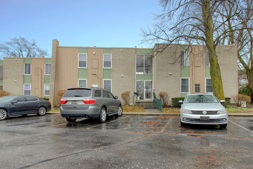 Media Image 2