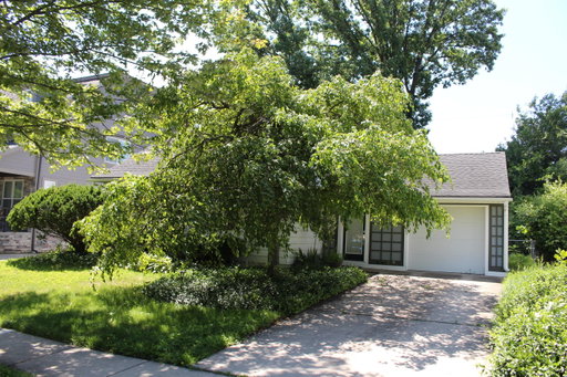 Media Image 3