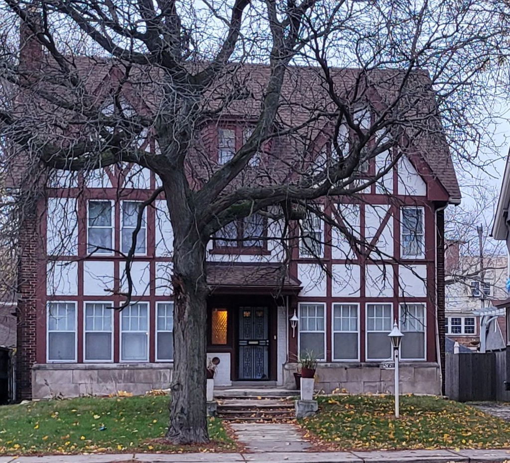 Media Image 1