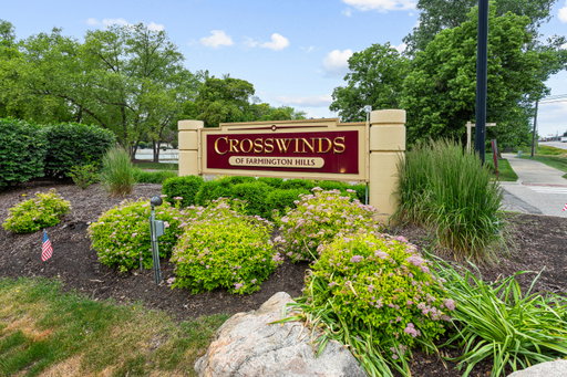 Media Image 2