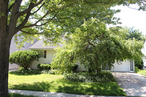 Media Image 2