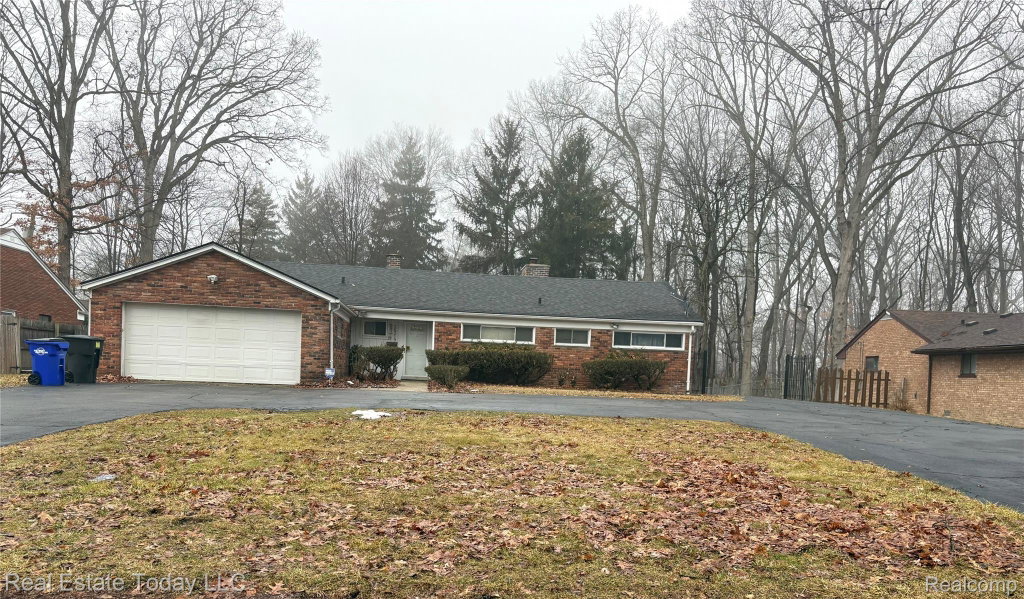 Media Image 1