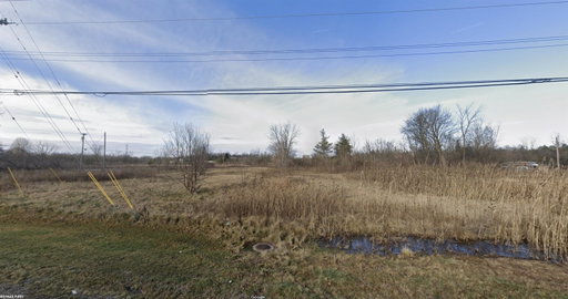 Media Image 2