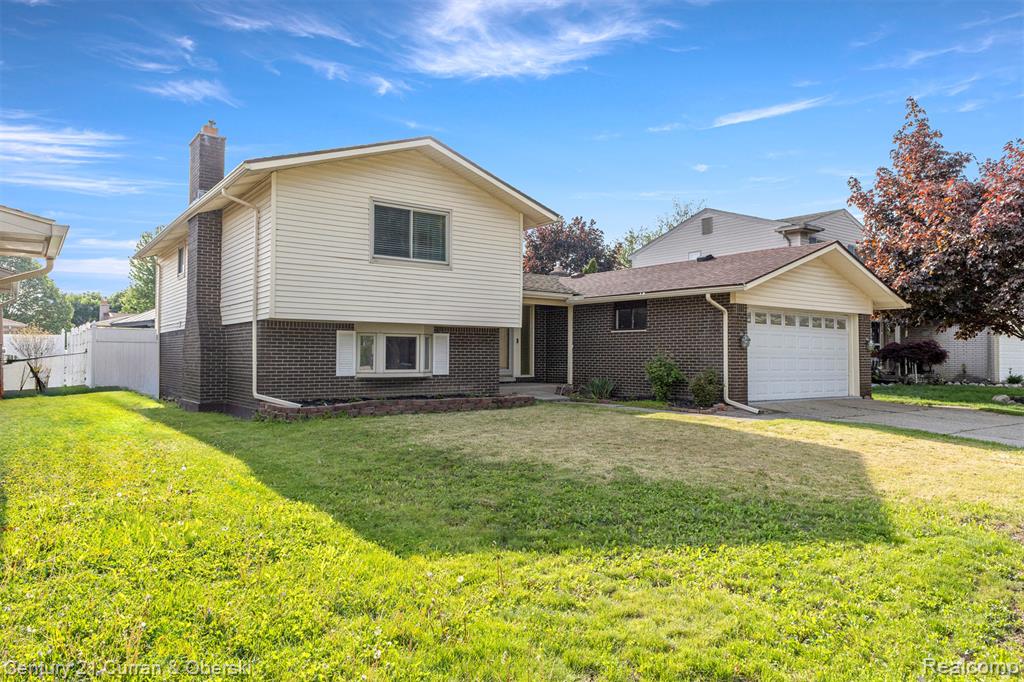 Media Image 1