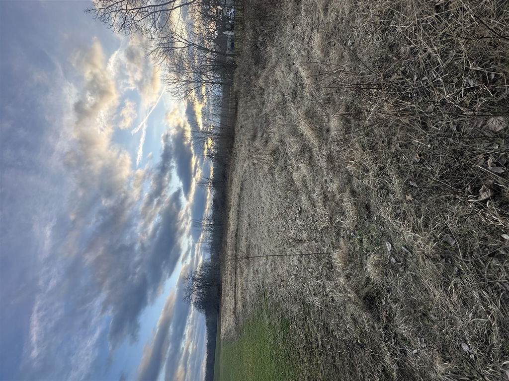 Image Unavailable
