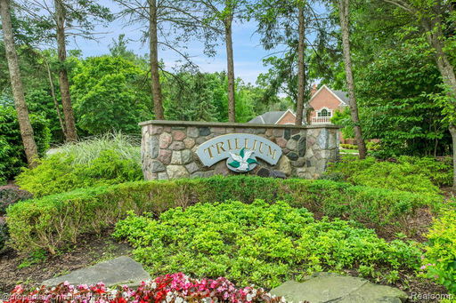 Media Image 2