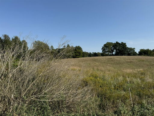 Media Image 3