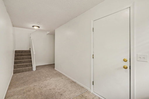 Media Image 3