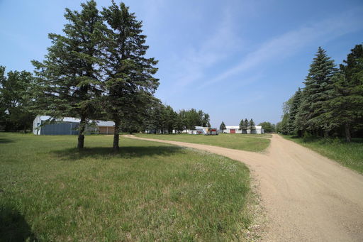 Media Image 2