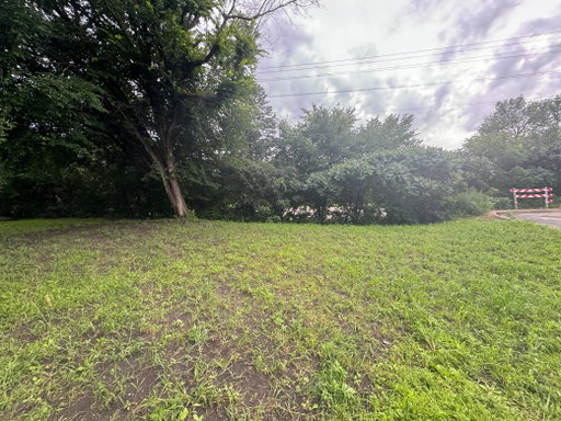 Media Image 2
