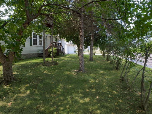 Media Image 2