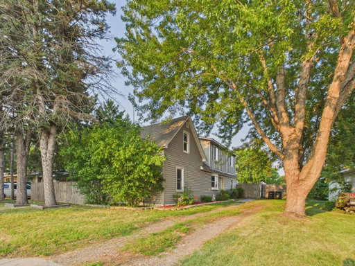 Media Image 3