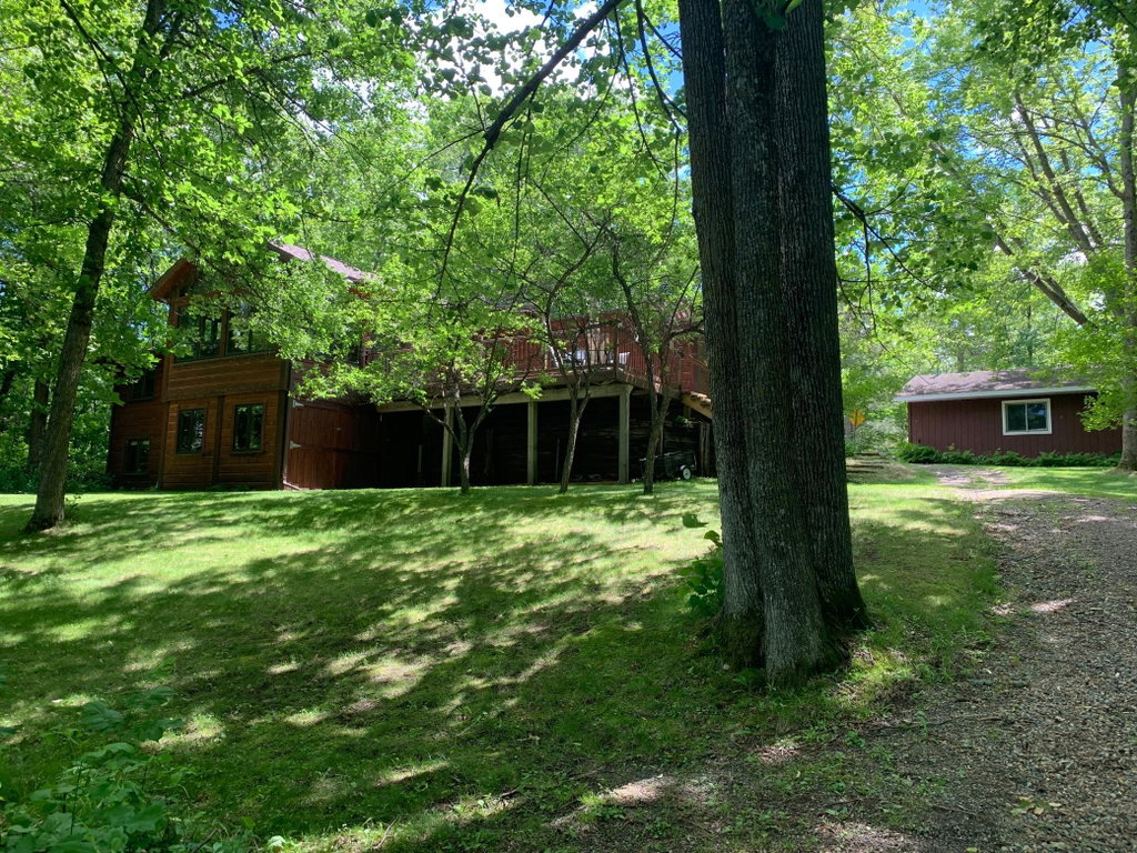 Media Image 1