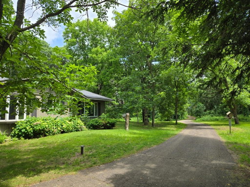 Media Image 2