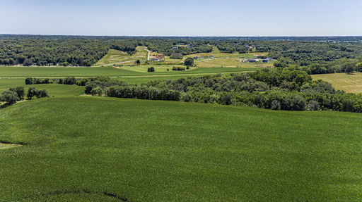 Media Image 2