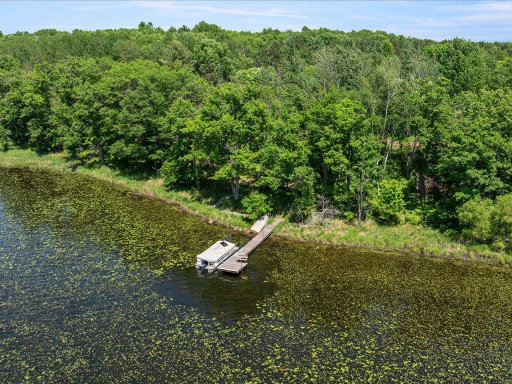 Media Image 3