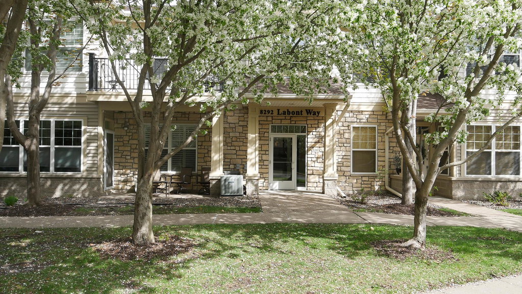 Media Image 1