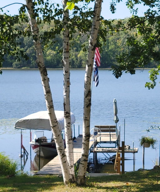 Media Image 2