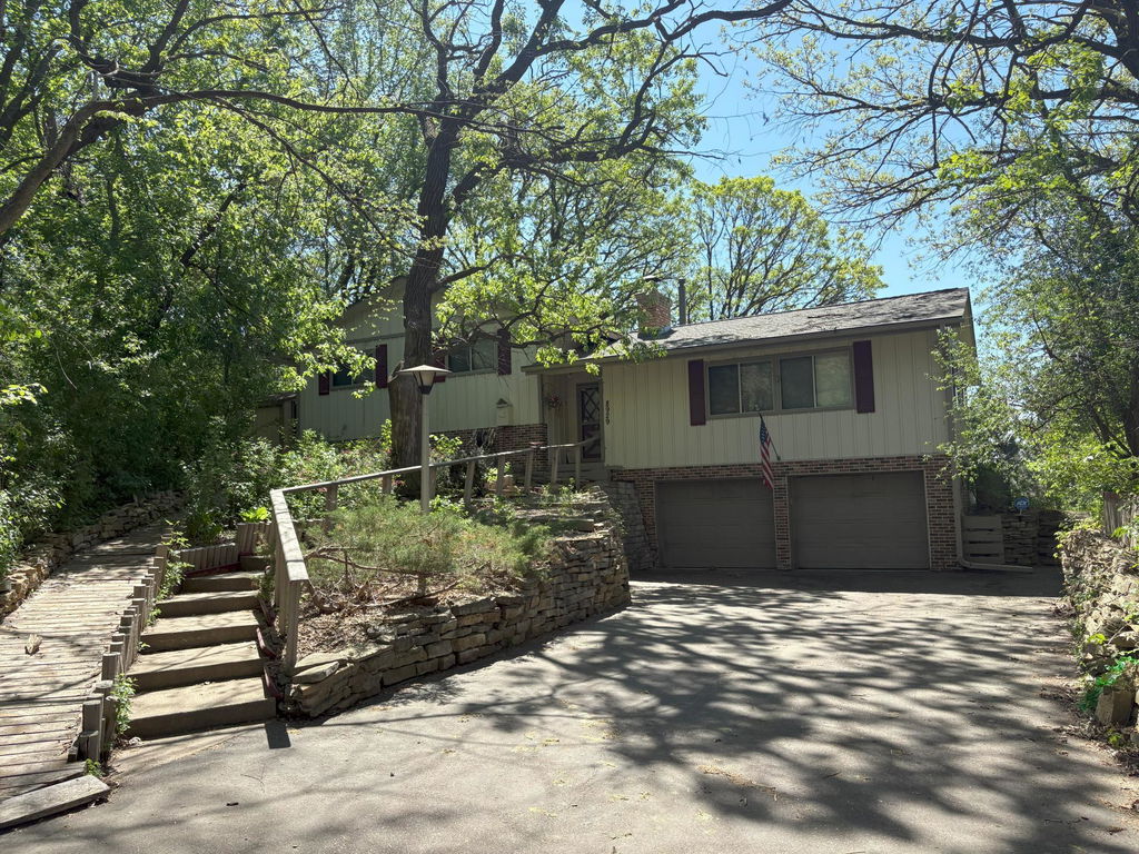 Media Image 1