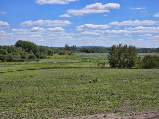 Media Image 3