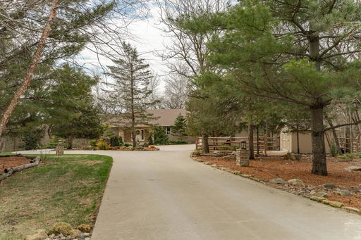 Media Image 3