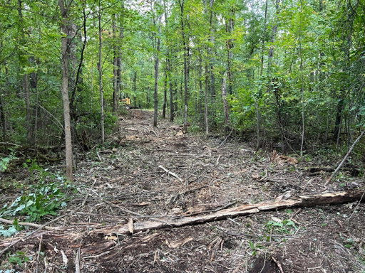 Media Image 2