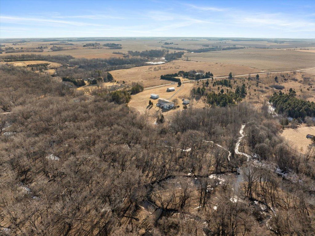 Media Image 1