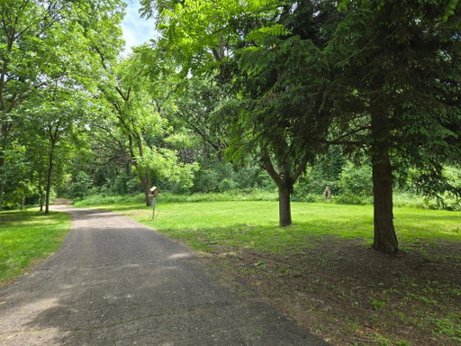 Media Image 3