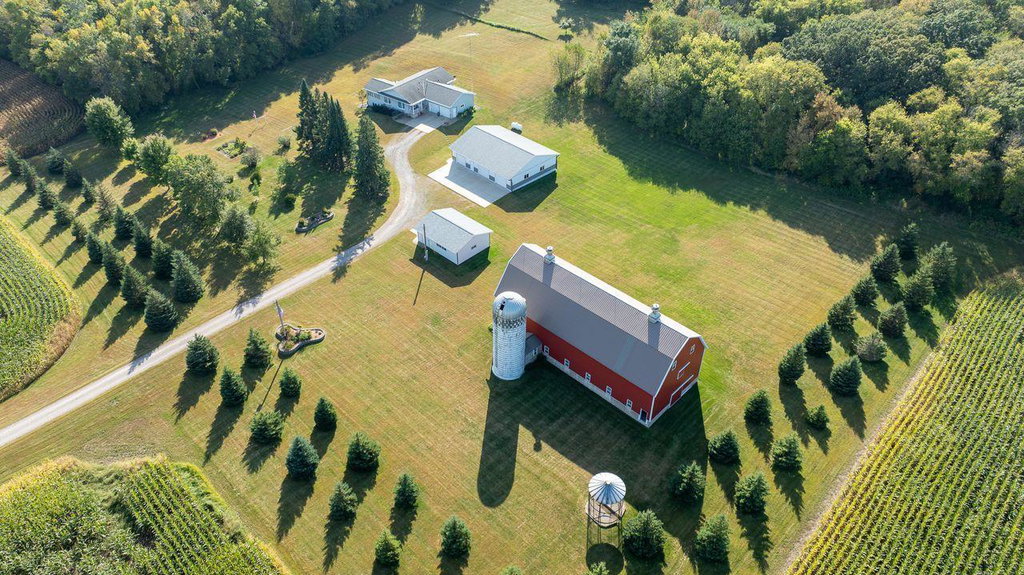 Media Image 1