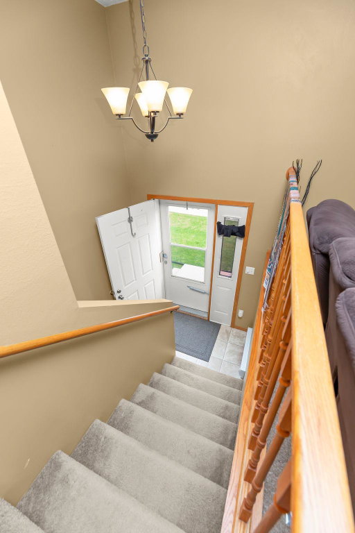 Media Image 3