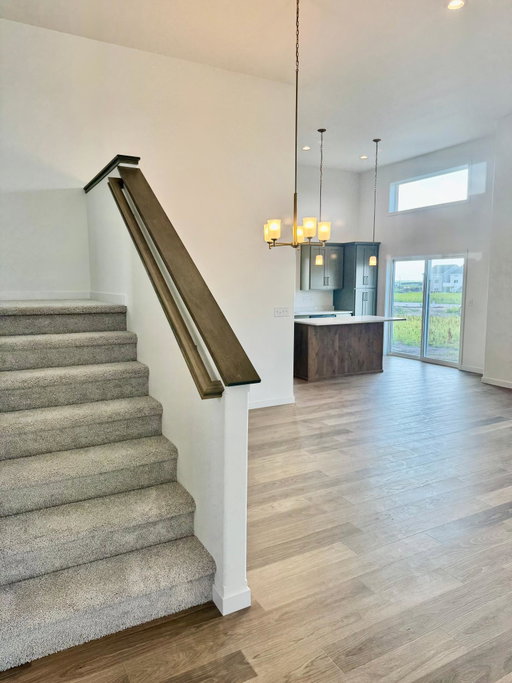 Media Image 3