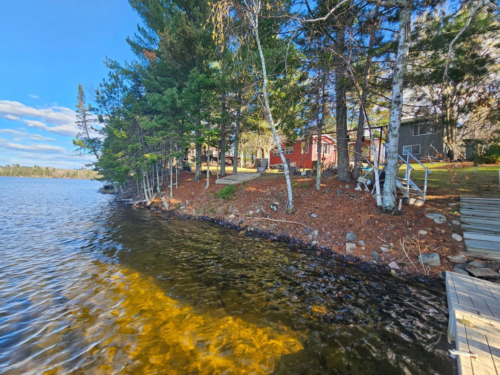 Media Image 1