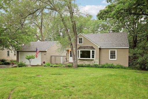 Media Image 3