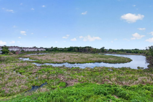 Media Image 3