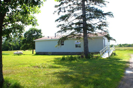Media Image 2