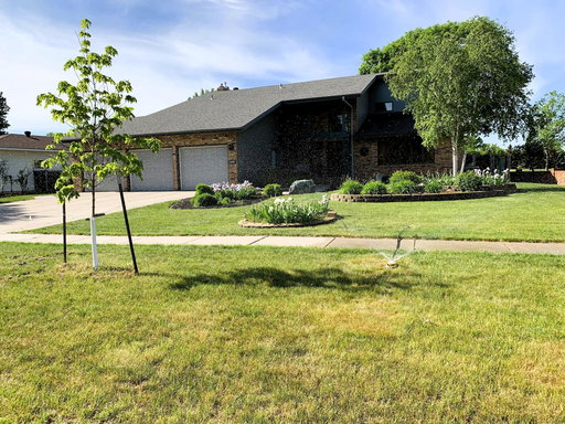 Media Image 2