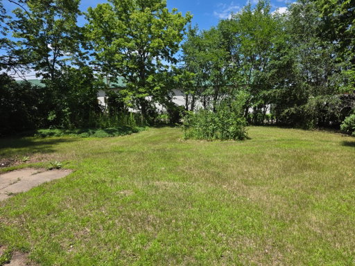 Media Image 3
